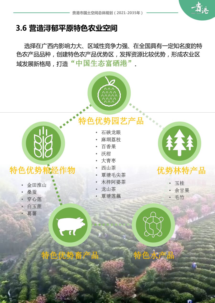 贵港市国土空间总体规划（2021—2035年）草案公示 内页速览 3