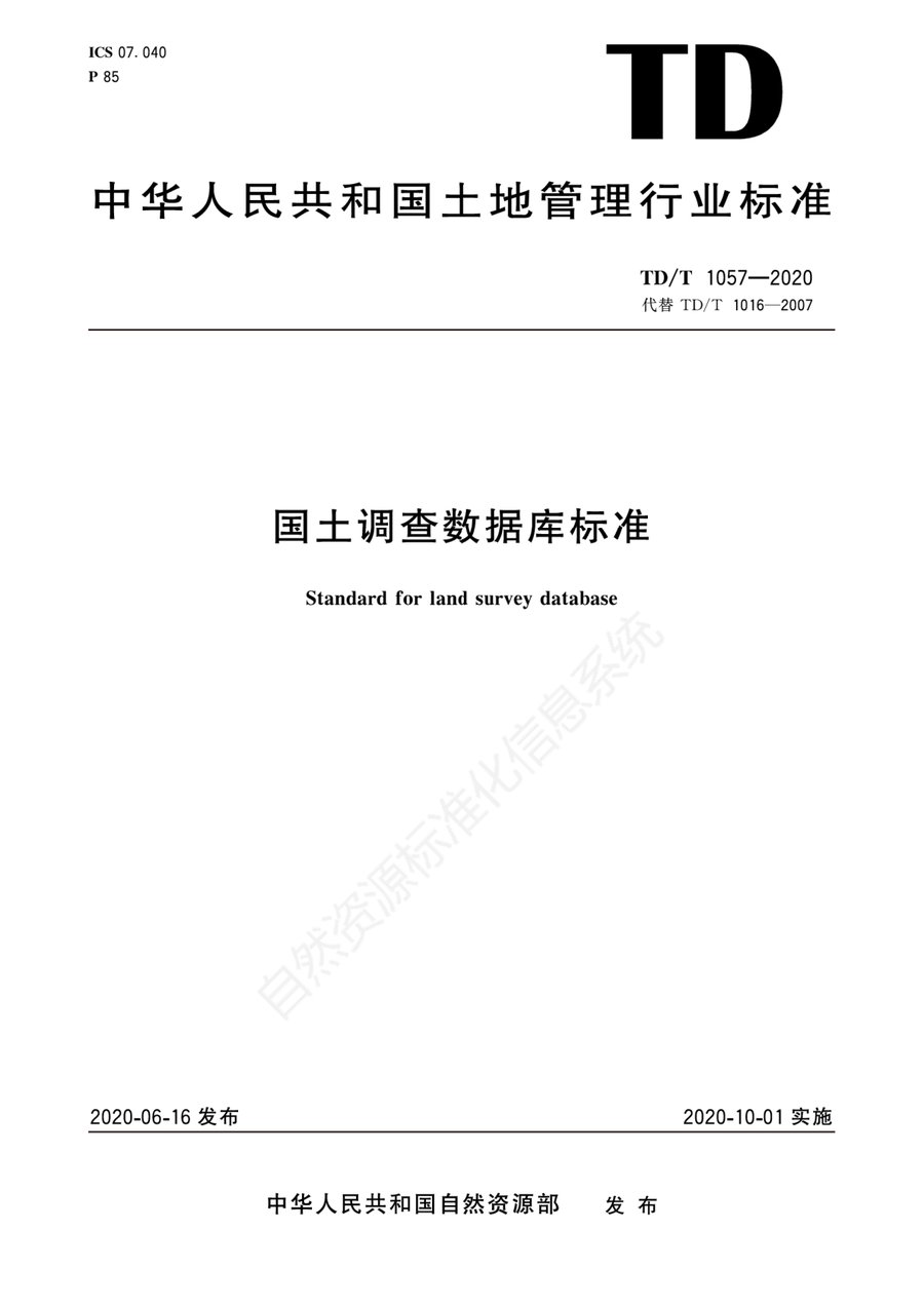 国土调查数据库标准(TD/T 1057—2020 行业标准)
